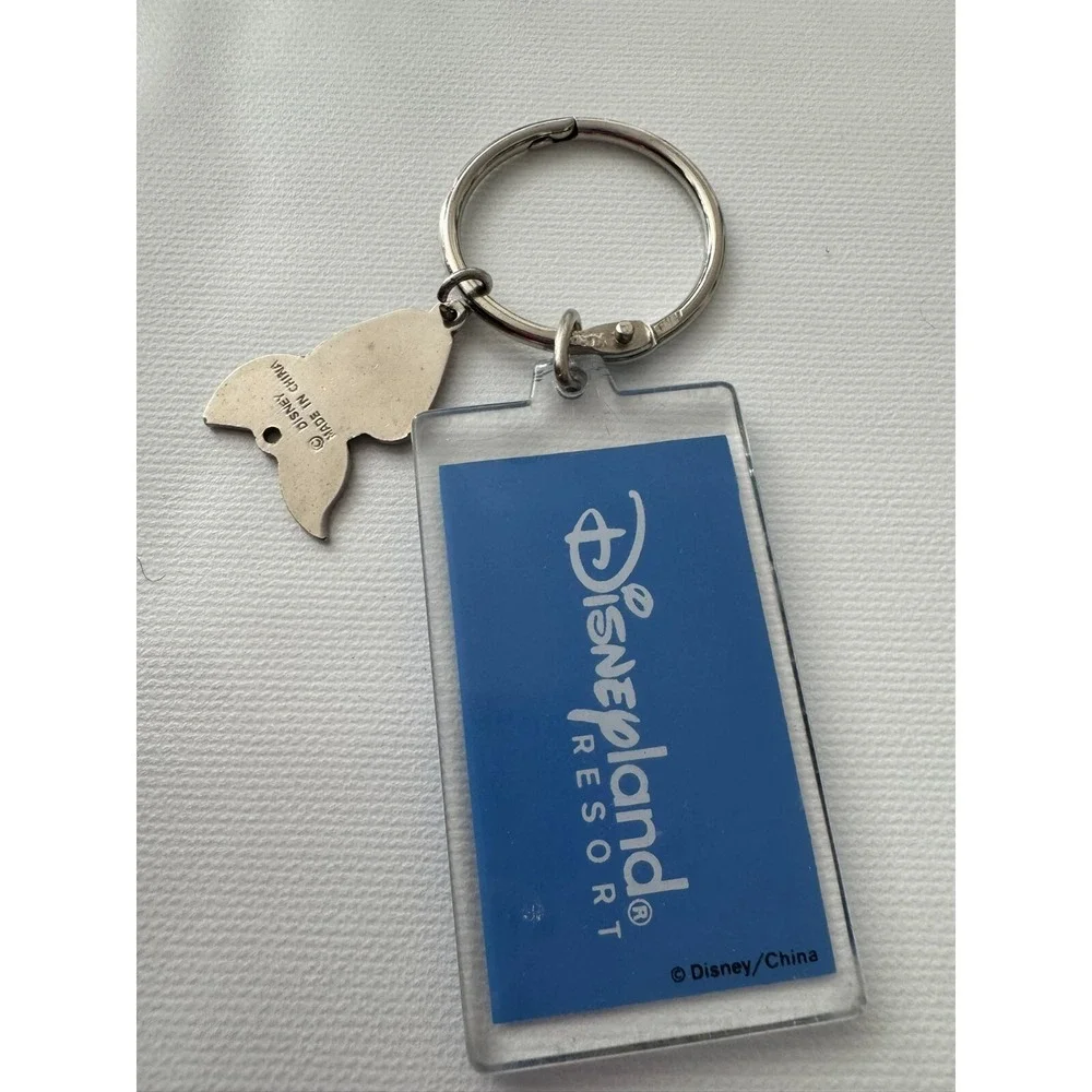 Disneyland Resort Winnie the Pooh Keychain Key Ring Disney with Piglet Charm Add